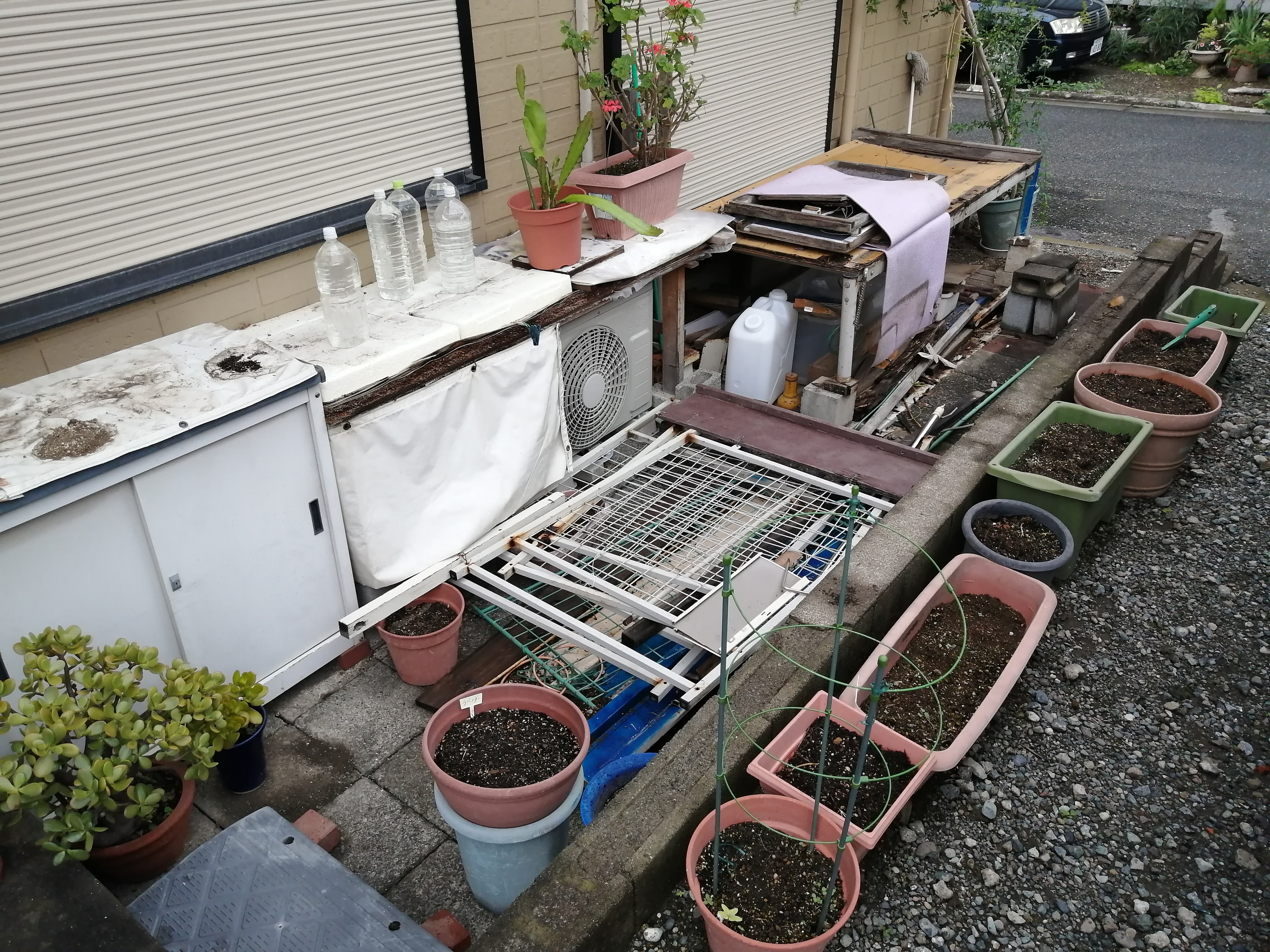 縁側 鉢やプランターもたくさん
