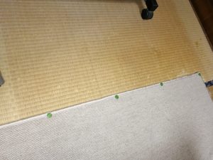 カーペットのピン